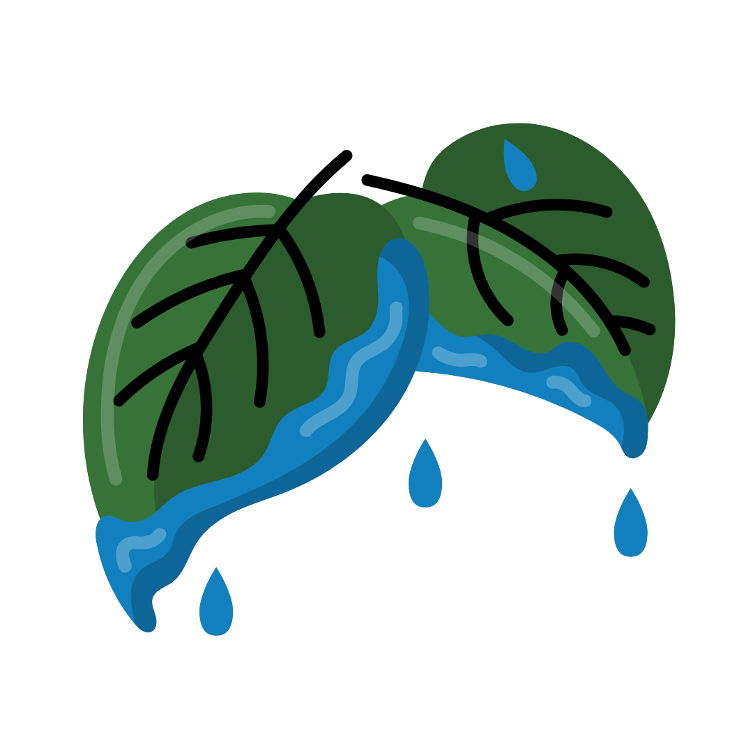 Leaf Wetness